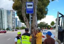 Prefeitura de Manaus reorganiza placas de ônibus na Ponta Negra para otimizar mobilidade