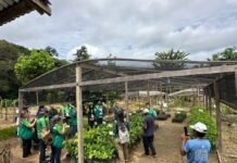 Prefeitura de Manaus leva ações do Junho Verde à comunidade Agrovila na RDS do Tupé