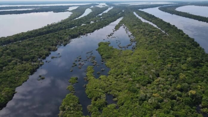 Sema Amazonas realiza workshop sobre água e clima com foco nos saberes da Amazônia
