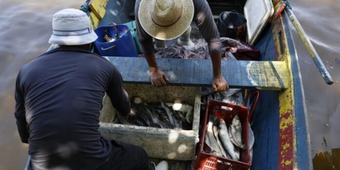 Pescadores do Seguro-Defeso recebem 6º lote de pagamentos nesta terça