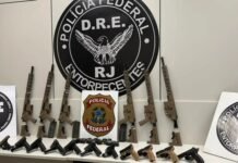 PF apreende 10 fuzis e 12 pistolas em duas ações na Via Dutra