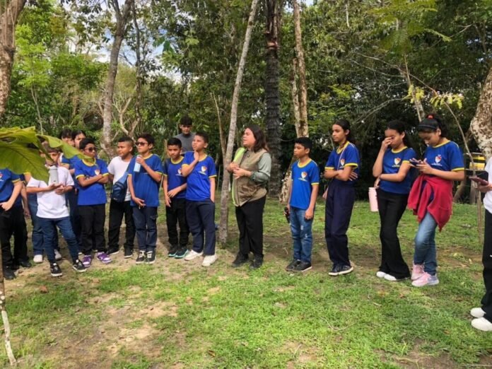 Estudantes da rede municipal de Manaus participam de aula de educação ambiental no Instituto Soka Amazônia