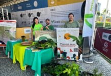 Prefeitura de Manaus impulsiona Objetivos de Desenvolvimento Sustentável com doação de mudas e educação ambiental