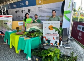 Prefeitura de Manaus impulsiona Objetivos de Desenvolvimento Sustentável com doação de mudas e educação ambiental