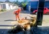 Prefeitura de Manaus revitaliza drenagem profunda e superficial no bairro Planalto