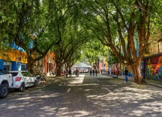 Rua Gastronômica na Ferreira Pena preservará 17 árvores e valorizará corredor verde no centro de Manaus