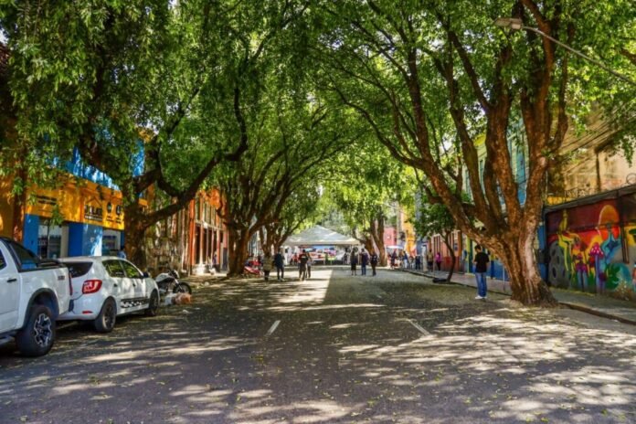 Rua Gastronômica na Ferreira Pena preservará 17 árvores e valorizará corredor verde no centro de Manaus