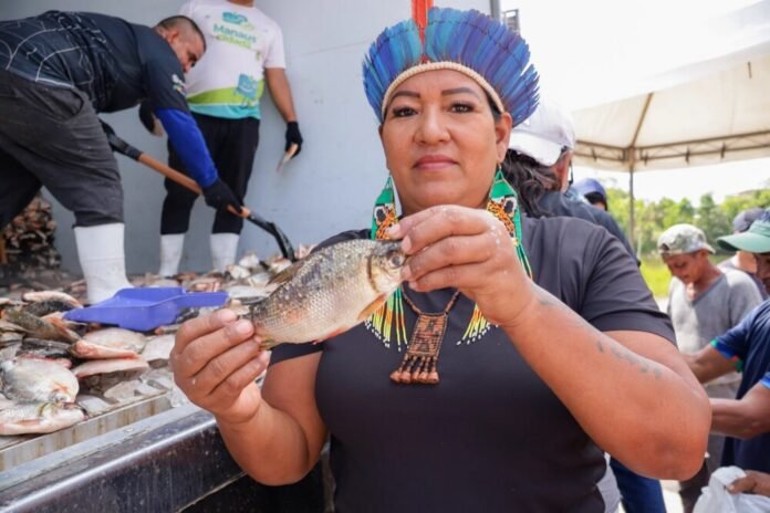 Prefeitura de Manaus distribui 85 mil peixes do programa 'Jaraqui da Gente' nos bairros Redenção e Tarumã