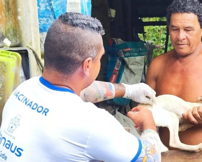 Prefeitura de Manaus já vacinou mais de 2,3 mil cães e gatos contra raiva na zona rural terrestre